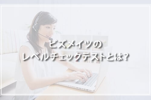 ビズメイツのレベルチェックテストとは?